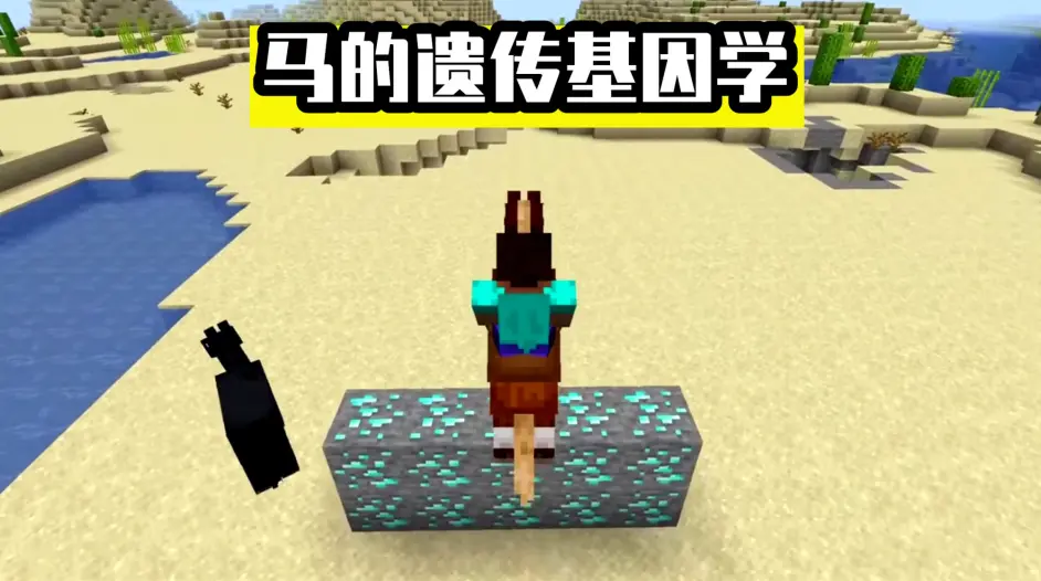 Minecraft 马的遗传基因学 如何繁殖出一匹 日行千里 的飞马 哔哩哔哩