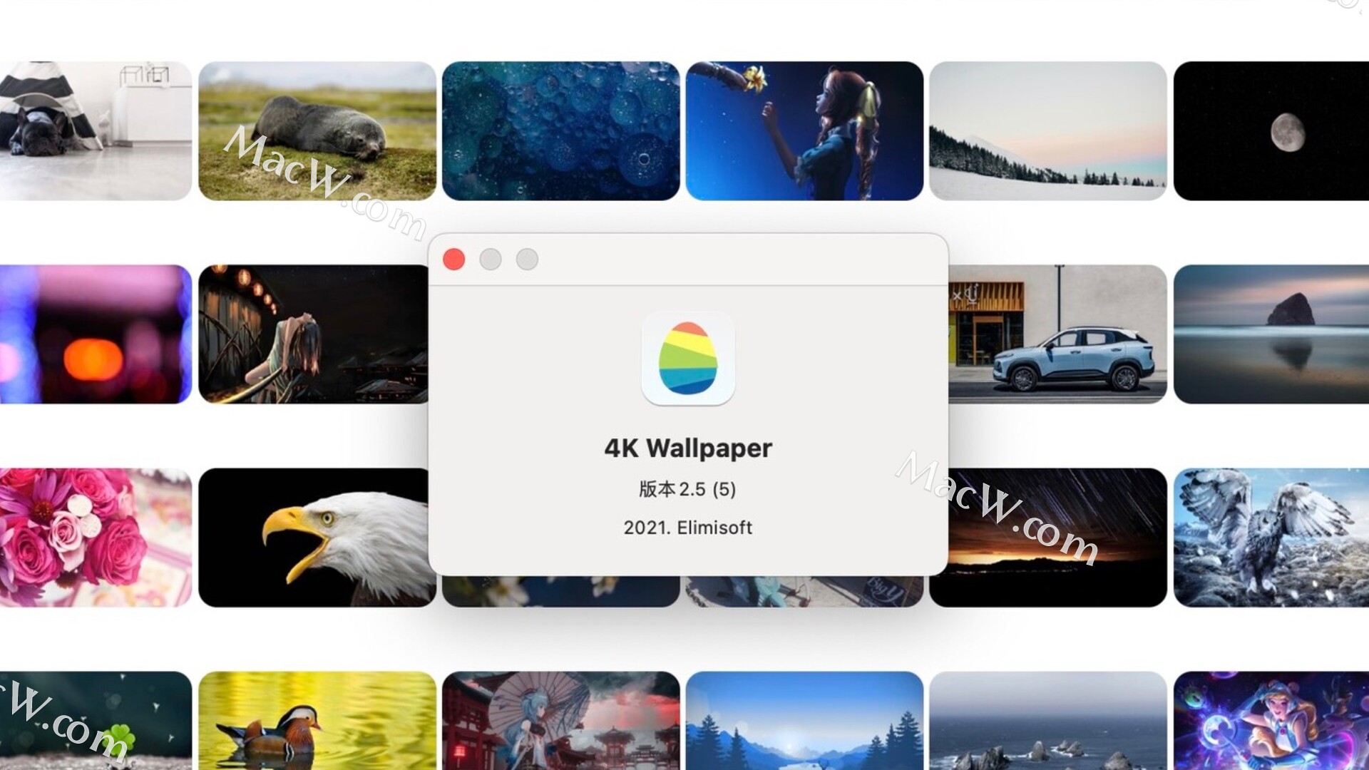 4K Wallpaper HD Wallpapers for mac(4K壁纸软件)v2.5激活版 - 哔哩哔哩