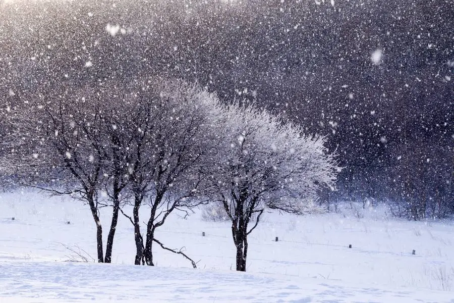 下雪天 如何拍出雪花飞舞的动感 6种拍摄技法拍出动感落雪照片 哔哩哔哩