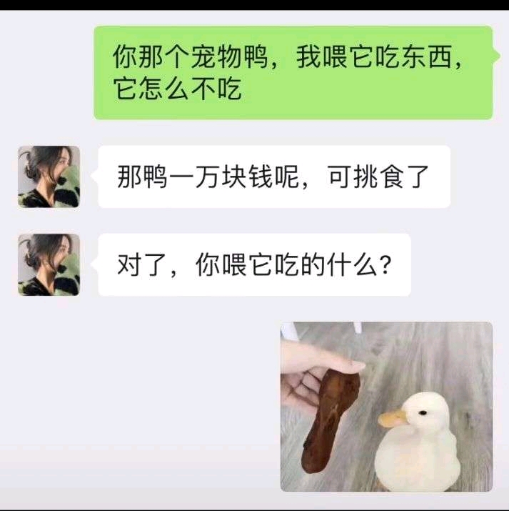 117老頭環梗圖吊圖memes漫畫神回覆表情包搞笑圖片日更侵刪