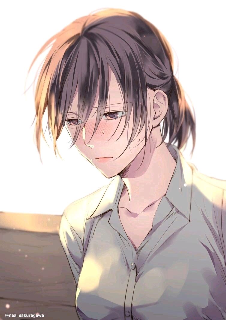 『动漫美图壁纸』(三笠)