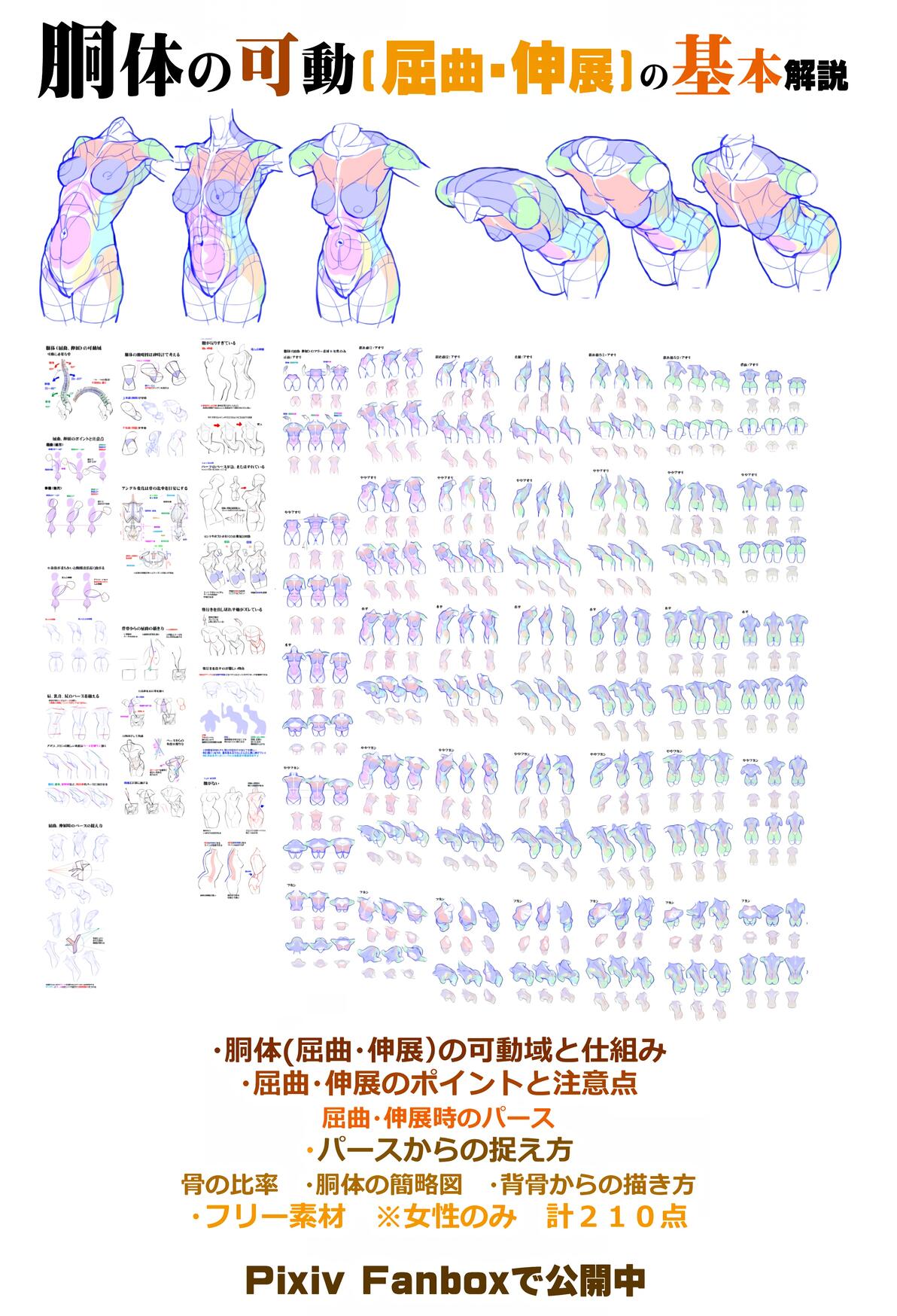 【板绘人体】画画小白人体逆袭必备秘籍!快码住! - 哔哩哔哩