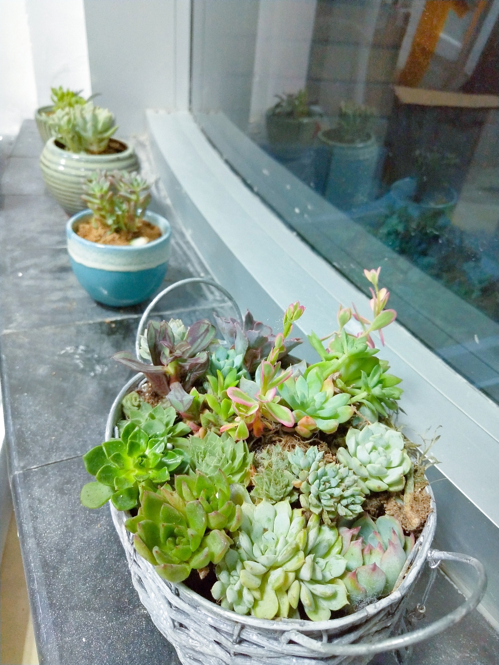 想着多种些多肉,结果肉买多了,花盆少了,于是,饮料瓶大改造!