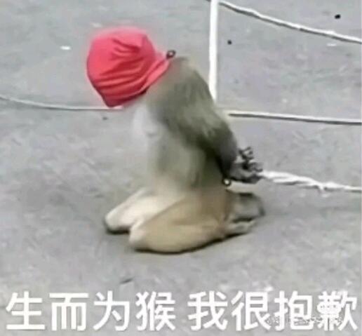 吗喽表情包之第一部分(9张) - 哔哩哔哩