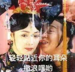 (七夕小福利)大泰迪一直在你身边