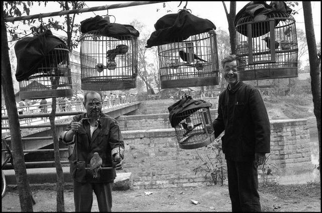 老照片1984年成都公园里的遛鸟人悠闲而自在