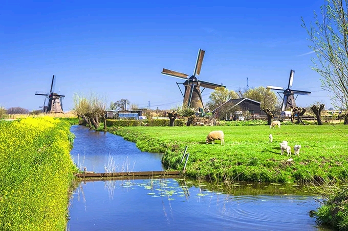 荷兰牧场风景图片图片