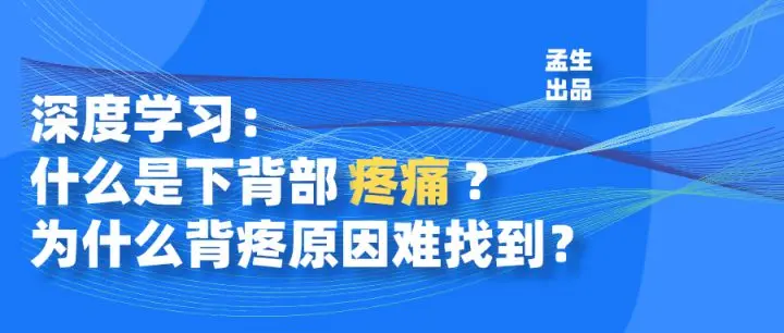 深度学习 什么是下背部疼痛 为什么背疼原因难找到 哔哩哔哩