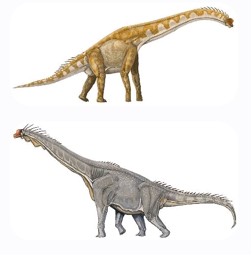莫里逊组几种著名恐龙简介