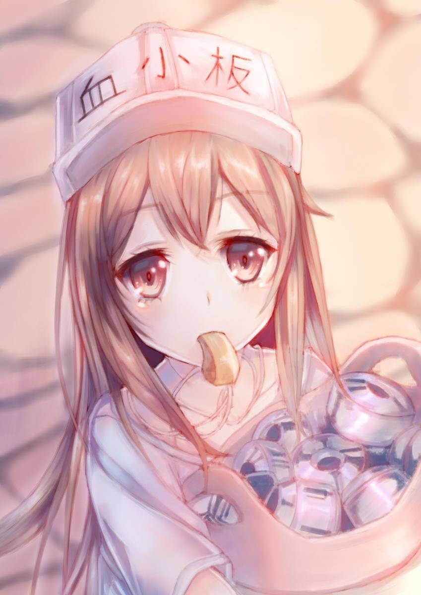 动画 动漫杂谈 血小板酱美图大赏(2)又见面了.