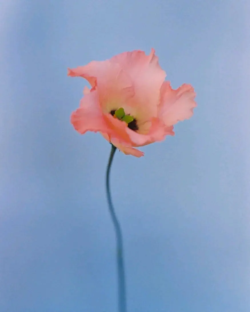 慈诚罗珠堪布 什么是痛苦 痛苦的来源 如何面对 哔哩哔哩