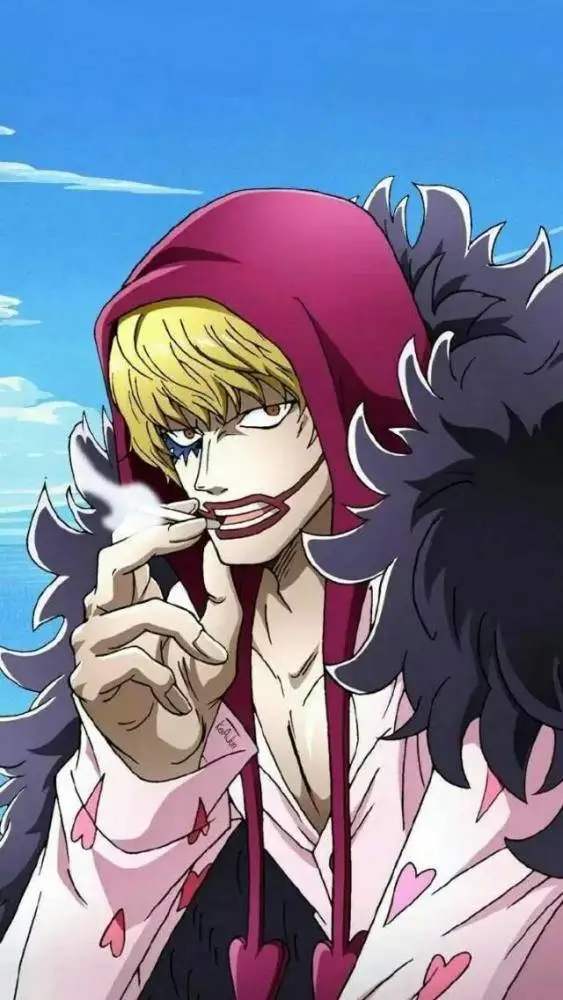 海贼王唐罗见血封喉41