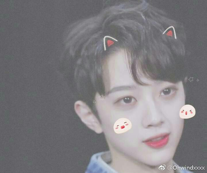 赖冠霖开微博回国发展 6小时快突破50万! 可盐