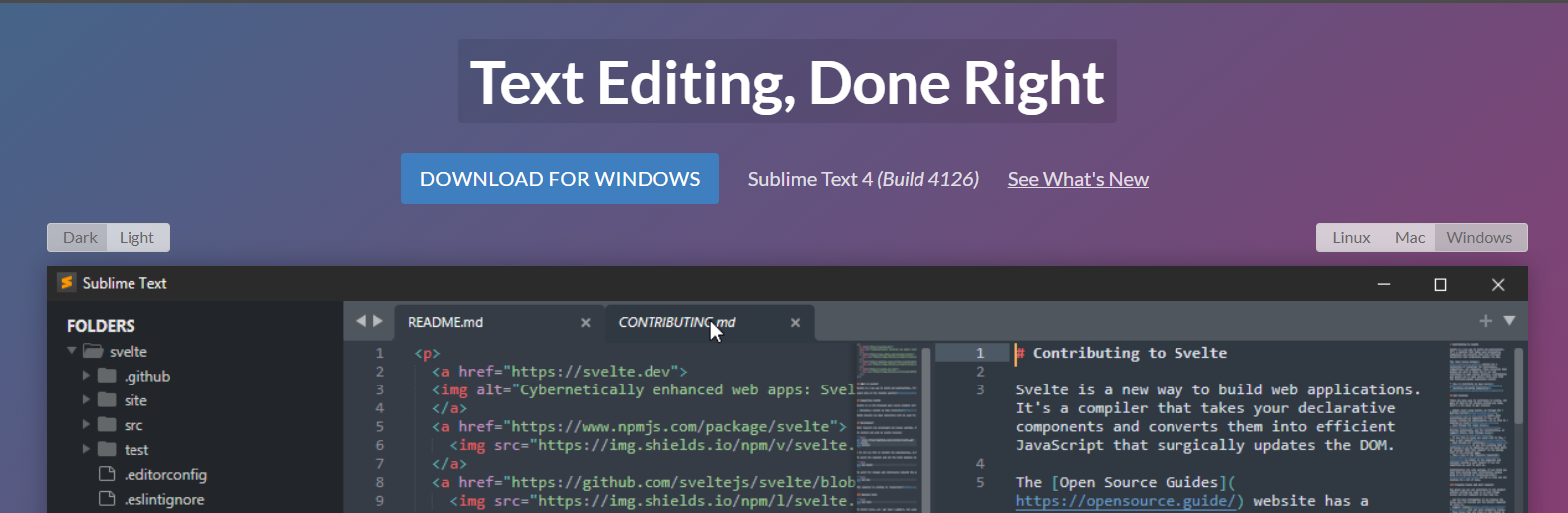 Sublimetext c 20 c 23 