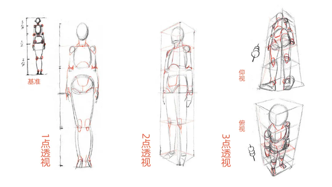 动态人物透视怎么画教你画人体动态中的透视关系