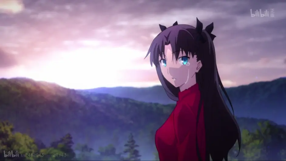 动漫中的经典台词 Fate Stay Night Unlimited Blade Works 哔哩哔哩