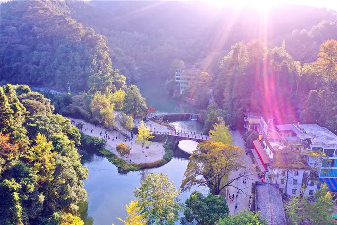 广东最佳赏秋之地南雄除了银杏还有五角枫 就在江头云峰山 哔哩哔哩