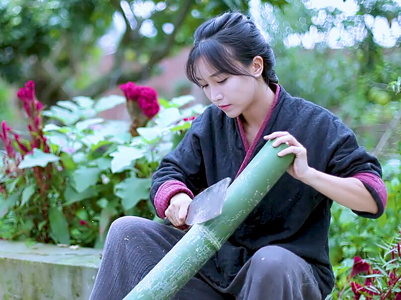 "东方美食生活家"李子柒:驻守田园诗意生活,传播中国传统文化