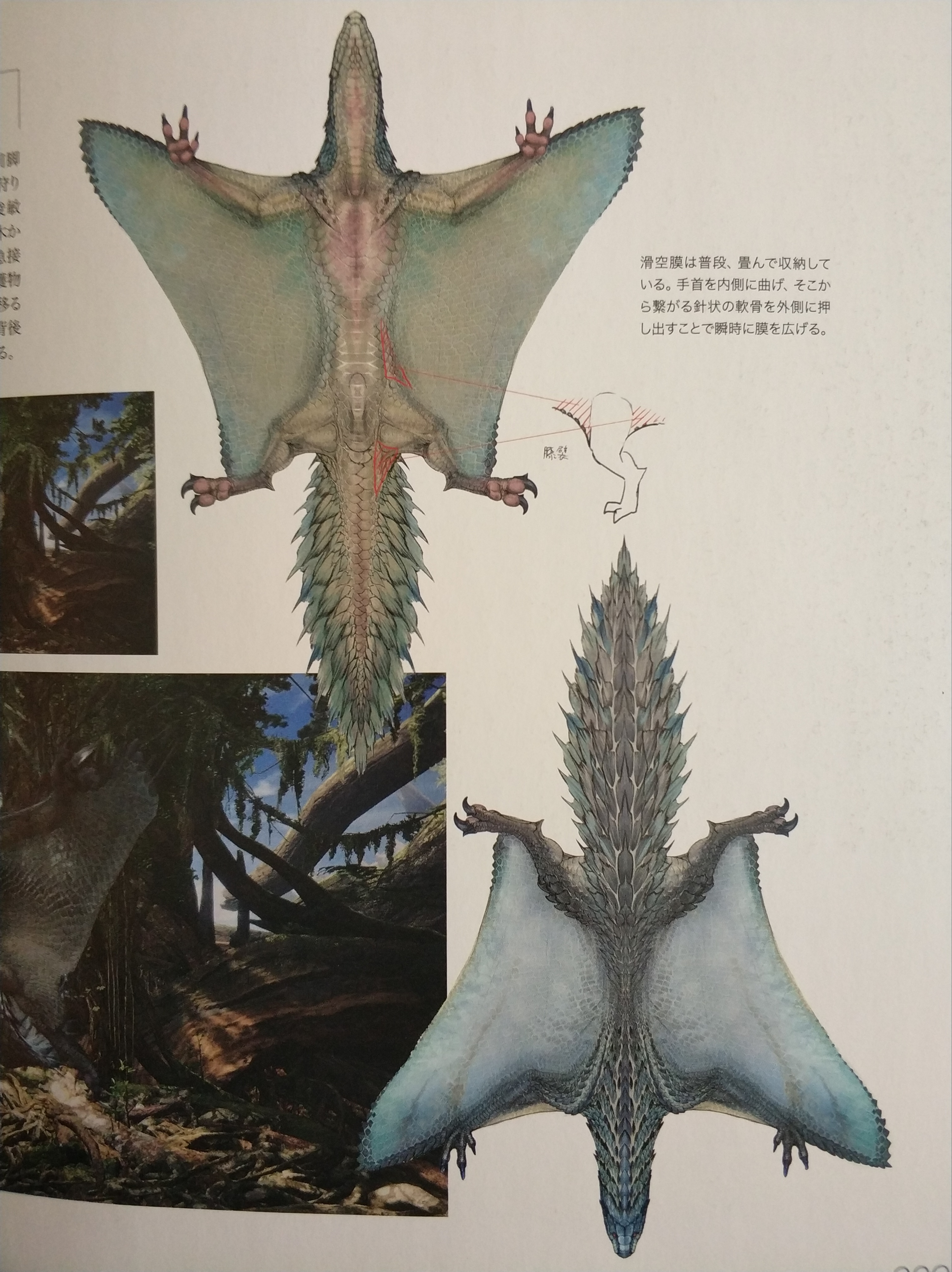 【怪猎生态学】飞雷龙:电力来源竟是摩擦生电?