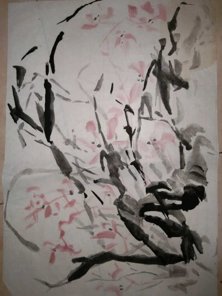 回首6年前 初一 时自学的画 现在看丑死了 哔哩哔哩