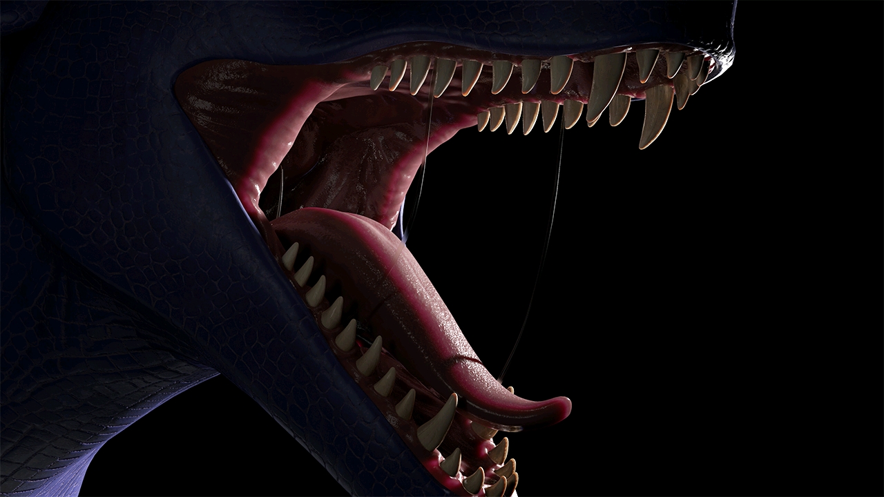 dragonsmaw龙之巨口篇