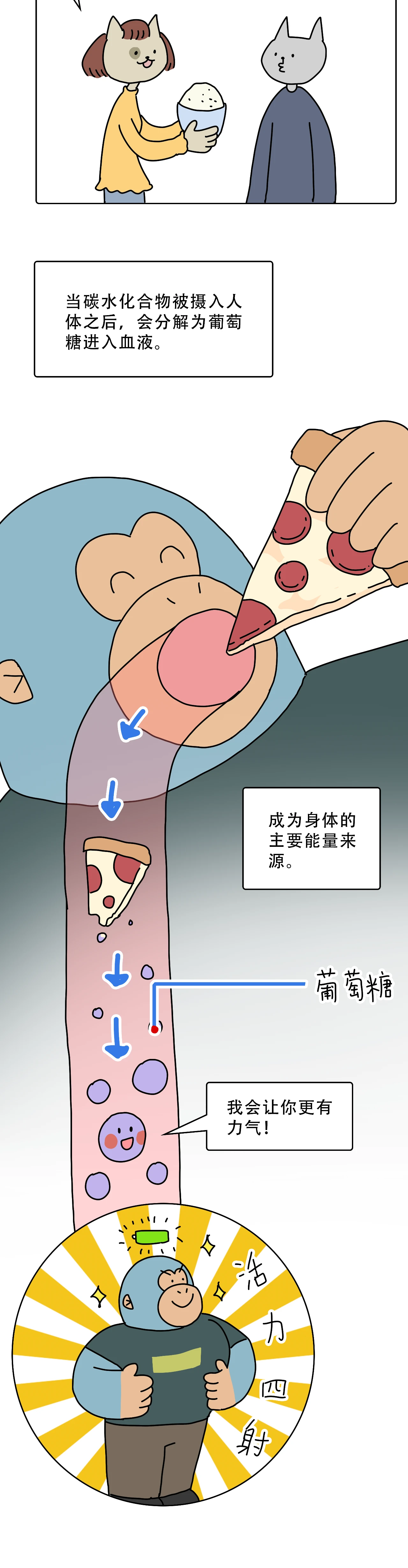 为什么一吃饱饭就犯困2