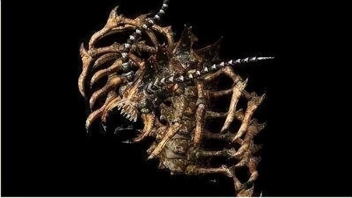 火龙神属性与装备_热血传奇里boss排名_传奇游戏龙BOSS设定