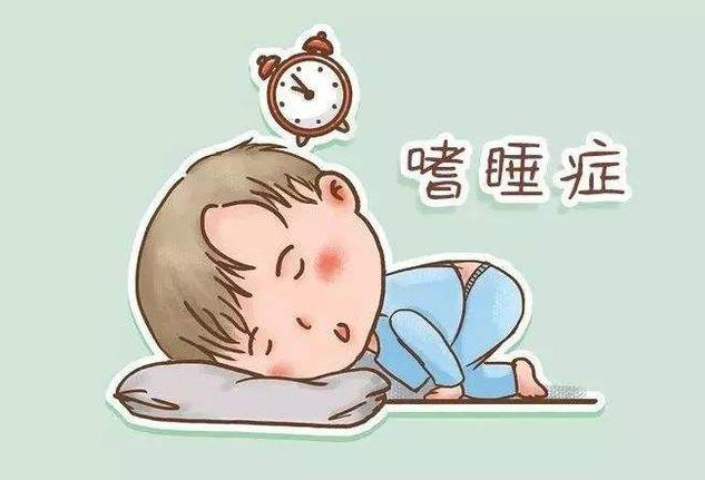 发作性睡病中西医怎么说?