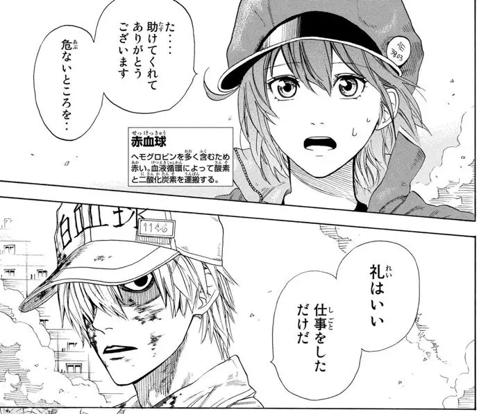 工作细胞 清水茜专访 把你们萌出血的血小板 是出自这位94年漫画家的脑洞 哔哩哔哩