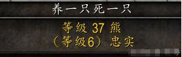 魔兽世界怀旧服猎人宠物玩法攻略