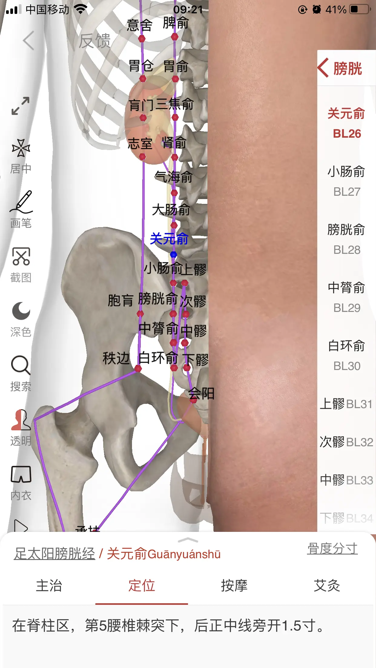 腿部膀胱经络图及走向图片