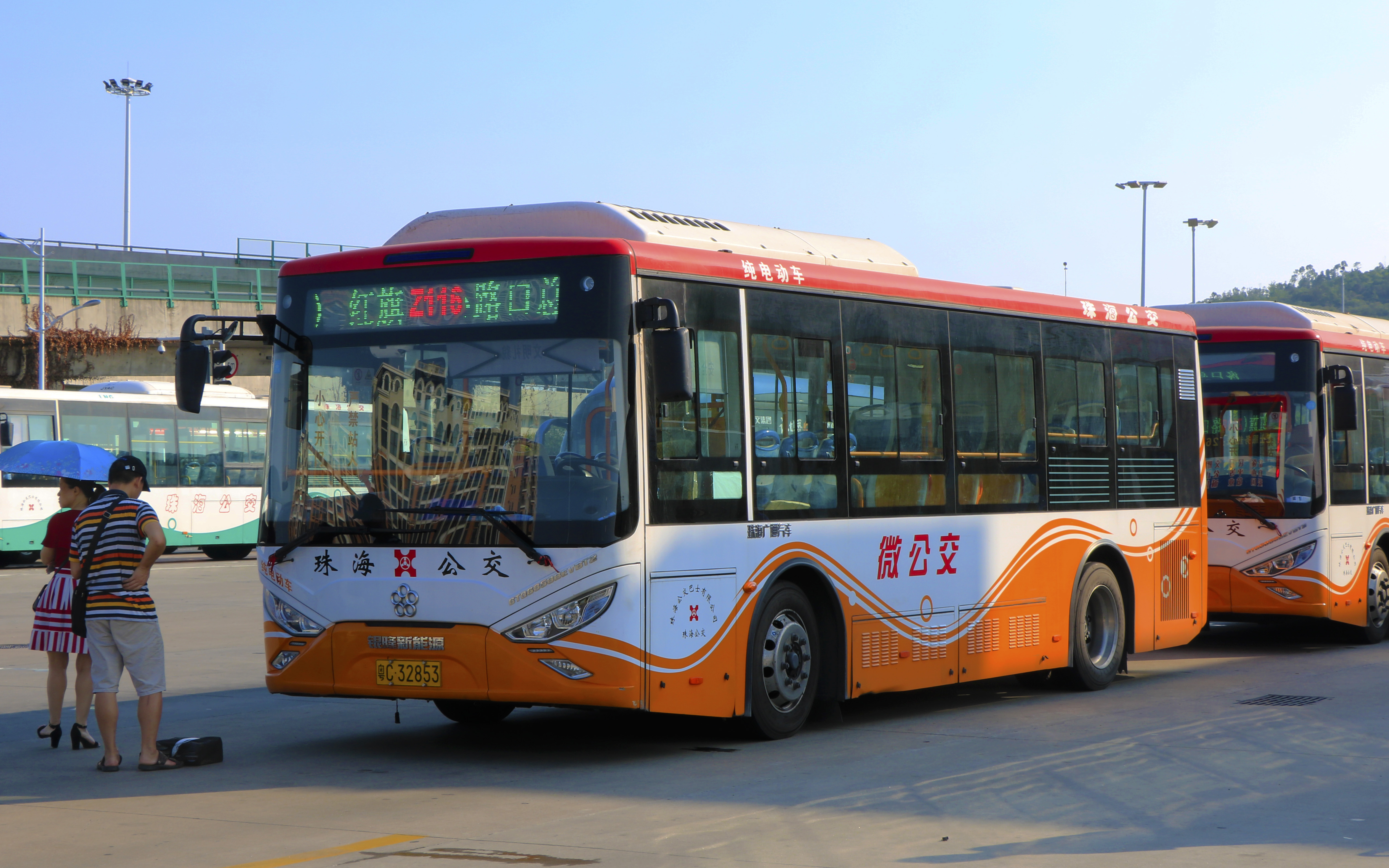 z116线,z117线(湖心路口总站循环线)
