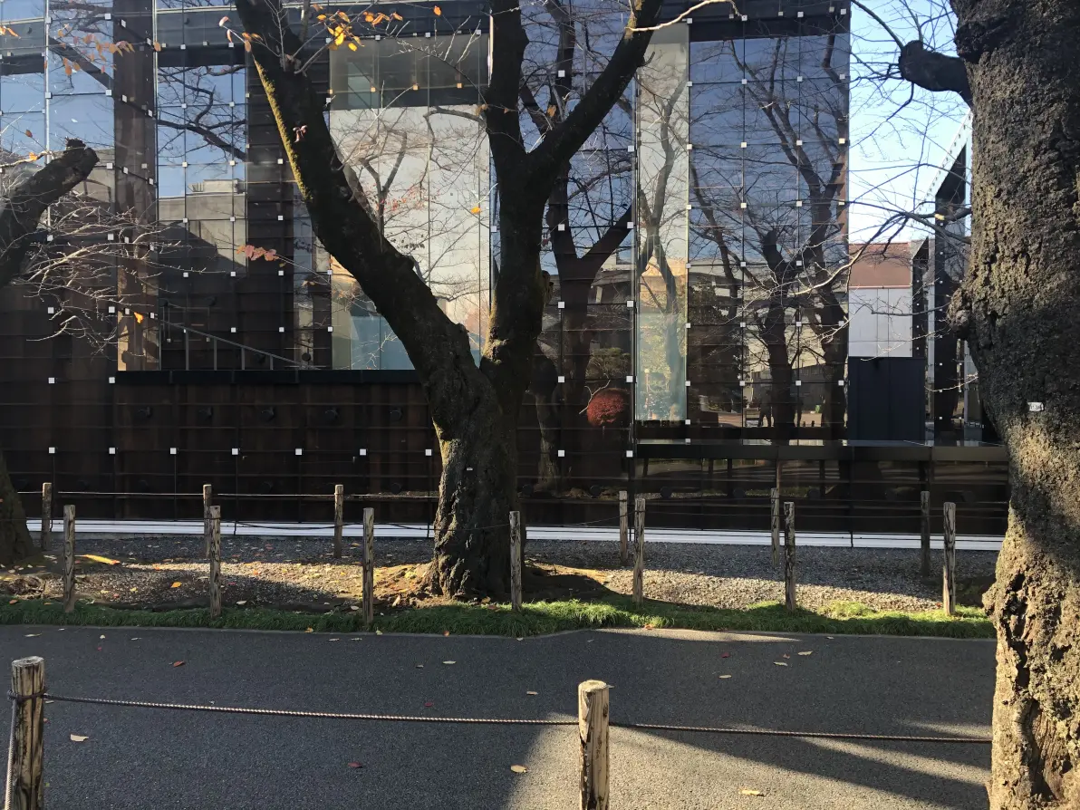 12.12东京(武藏野美大巡礼)