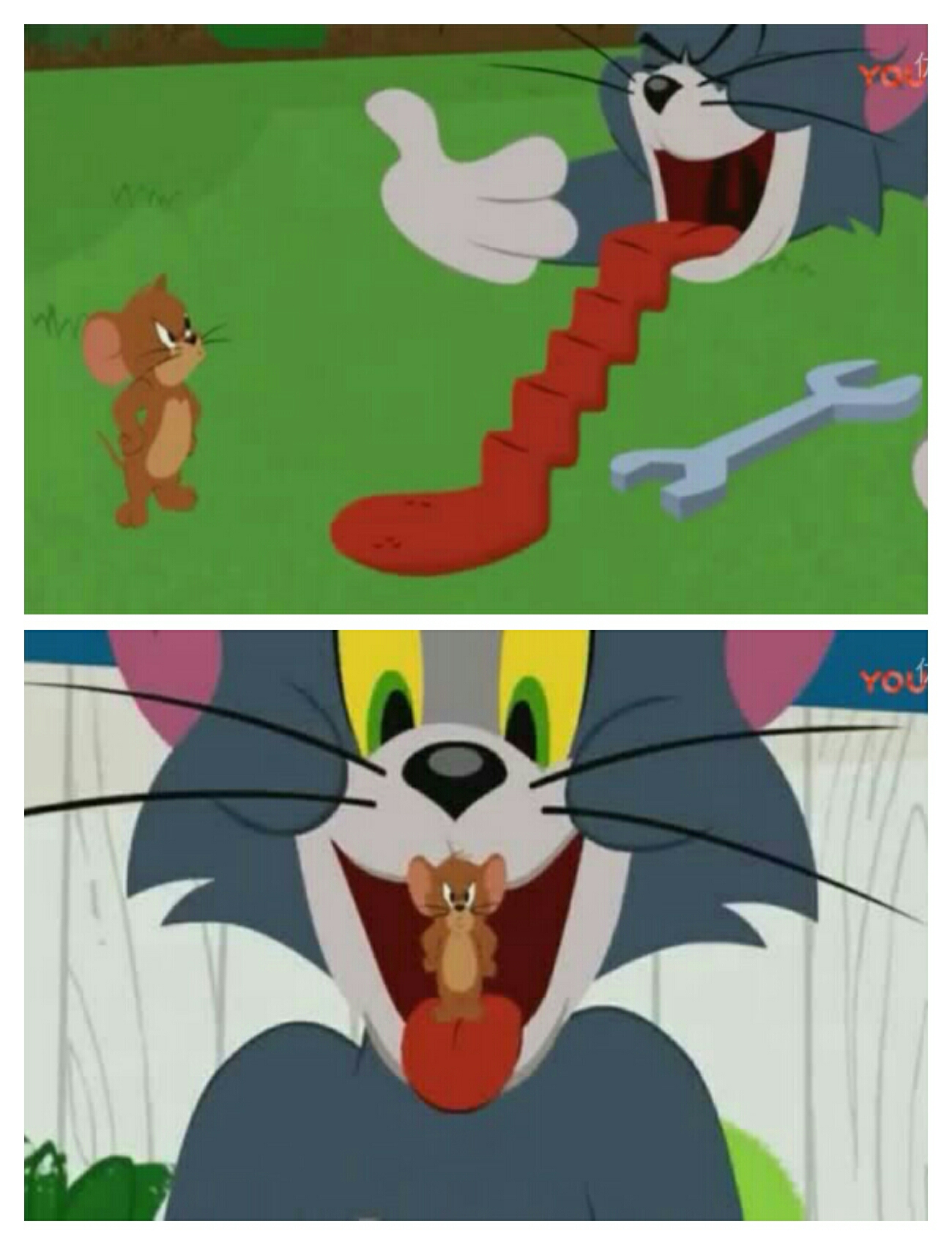 《猫和老鼠》杰瑞一共有几次被汤姆吃进肚子里.