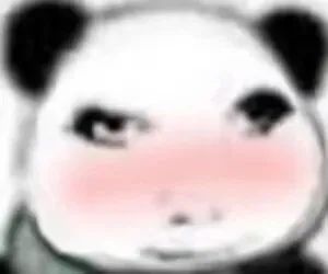 龙图！120张龙玉涛表情包合集 - 哔哩哔哩