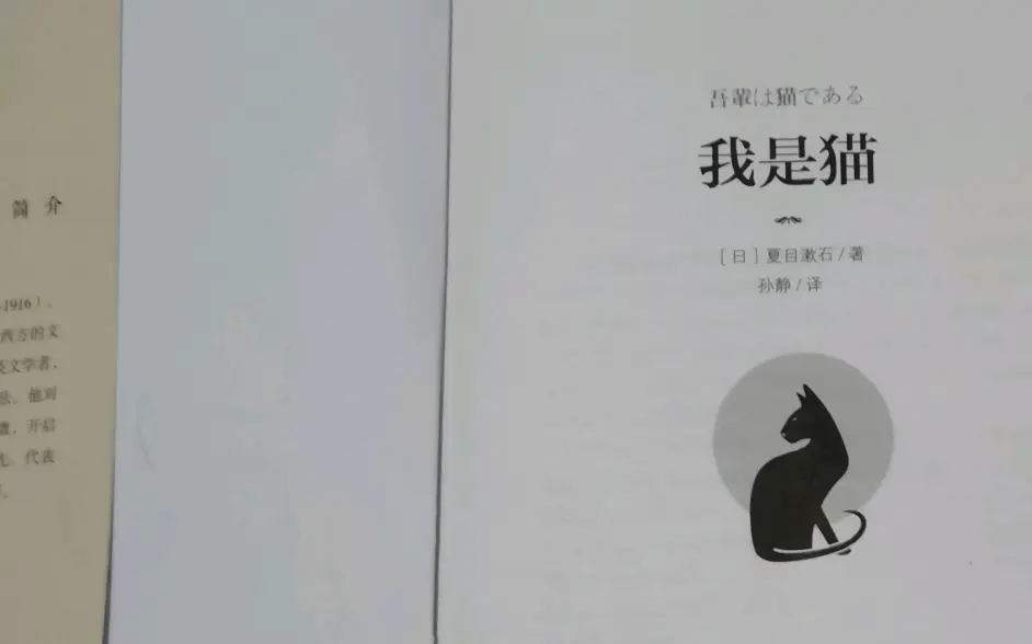 夏目漱石 我是猫 哔哩哔哩 夏目漱石 我是猫 哔哩哔哩