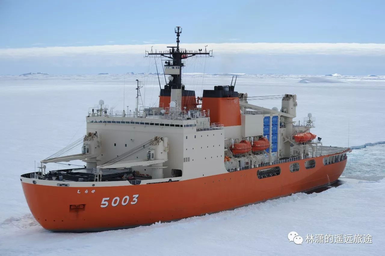 巡礼|白濑号·しらせ