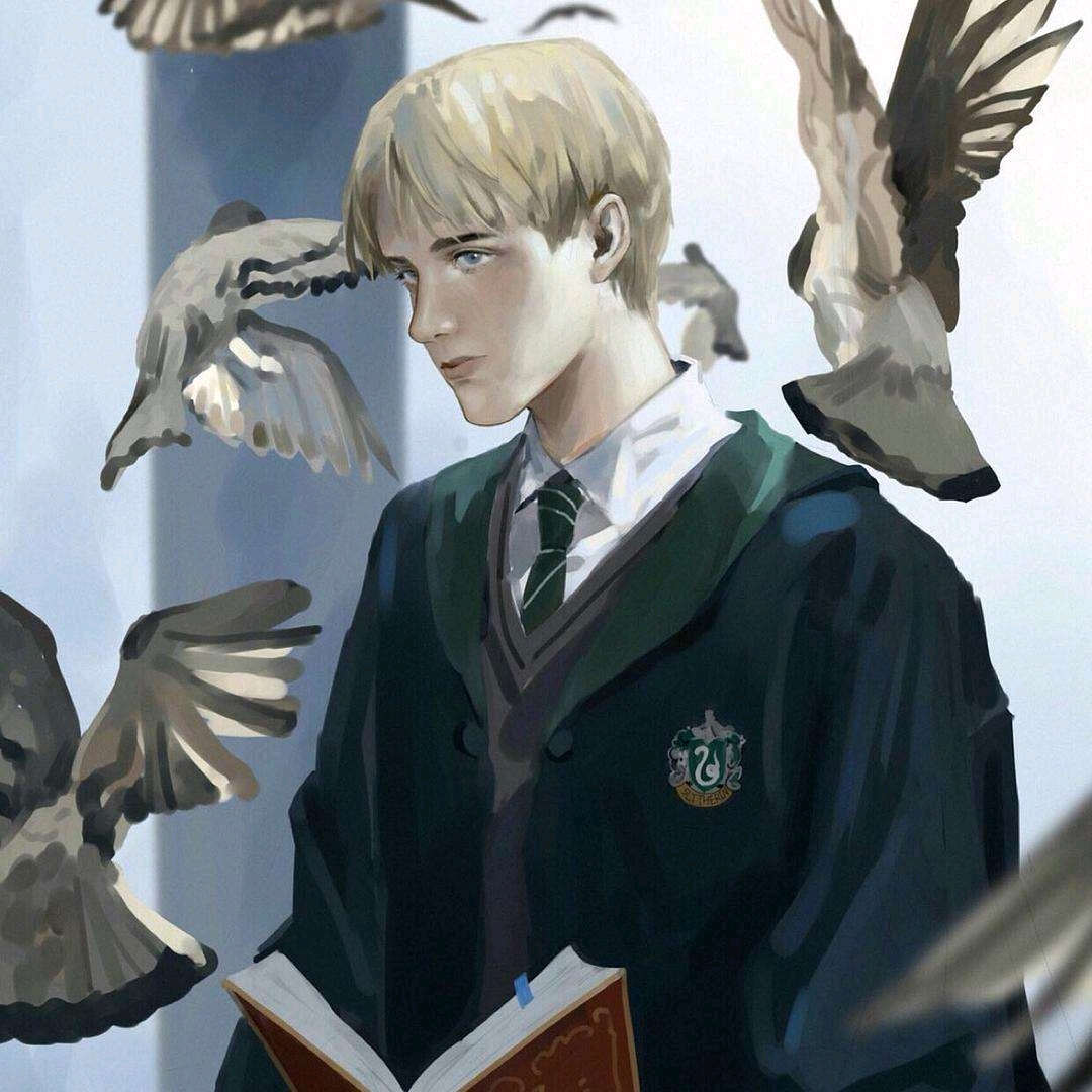 德拉科——向往自由的鸟,不会畏惧盘旋的鹰,憧憬绽放的花不会惧怕屠夫