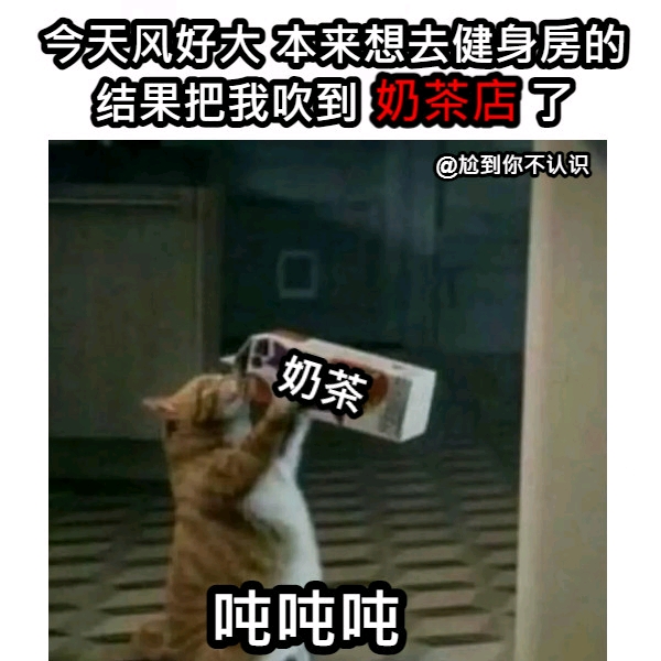 meme图合集1 - 哔哩哔哩