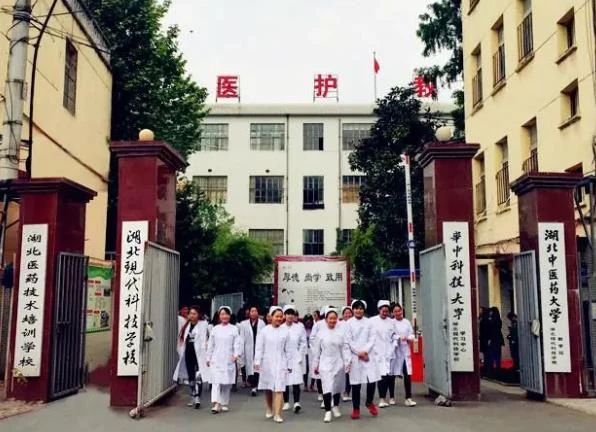 武汉职业技术学院2024分数线_武汉学院技能高考分数线_武汉学院技能高考专科分数线