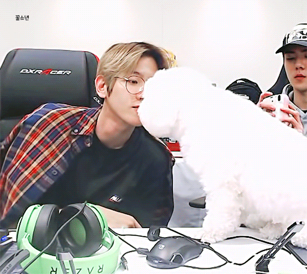 吃醋的边甜甜!太可爱了!