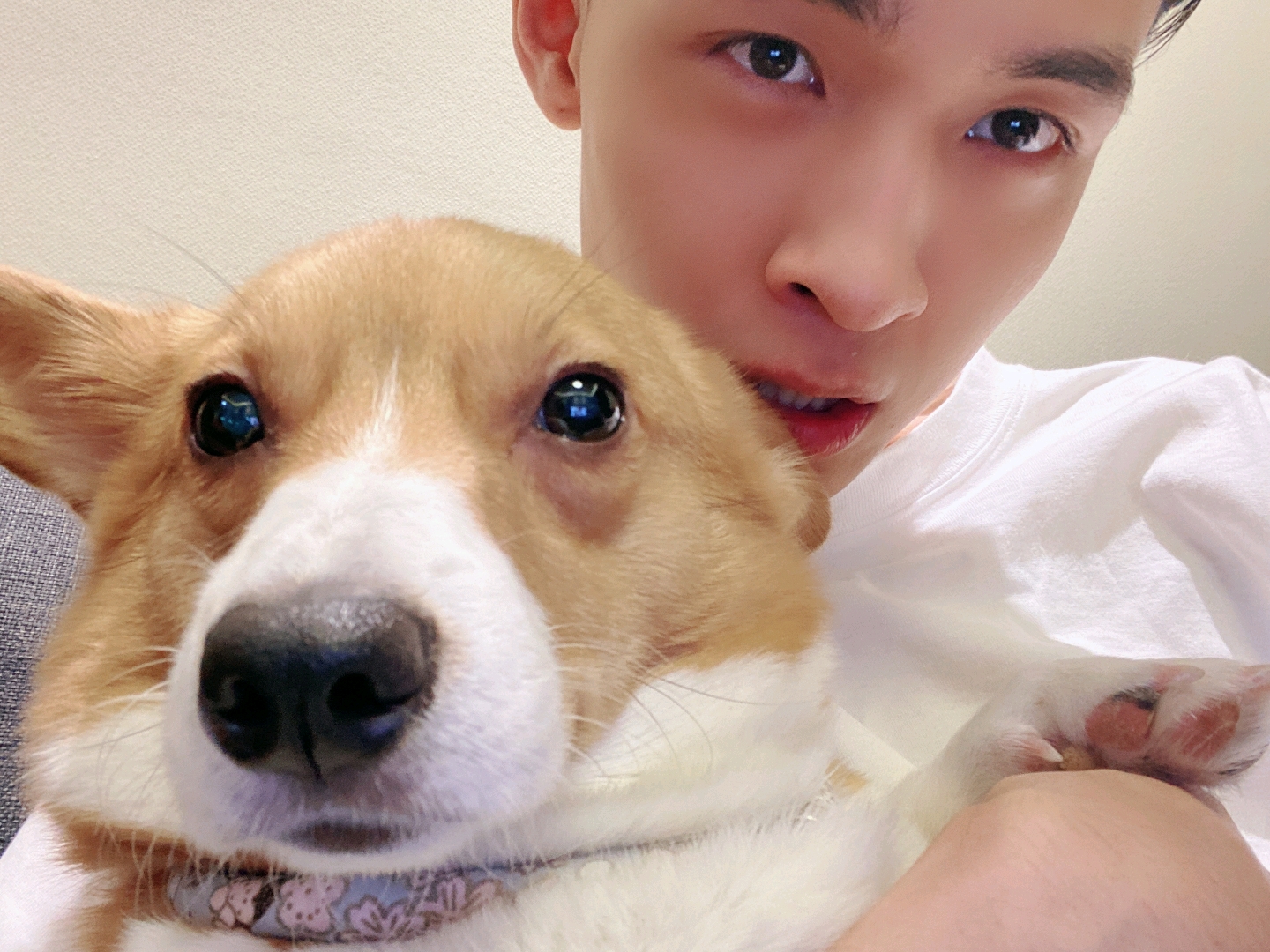 你的晚安曲(秦霄贤×你)