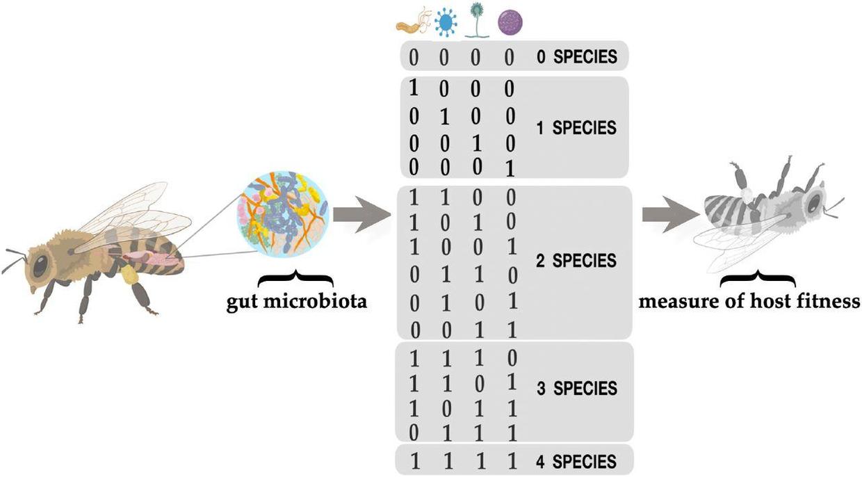 市场营销思维模型学习指南