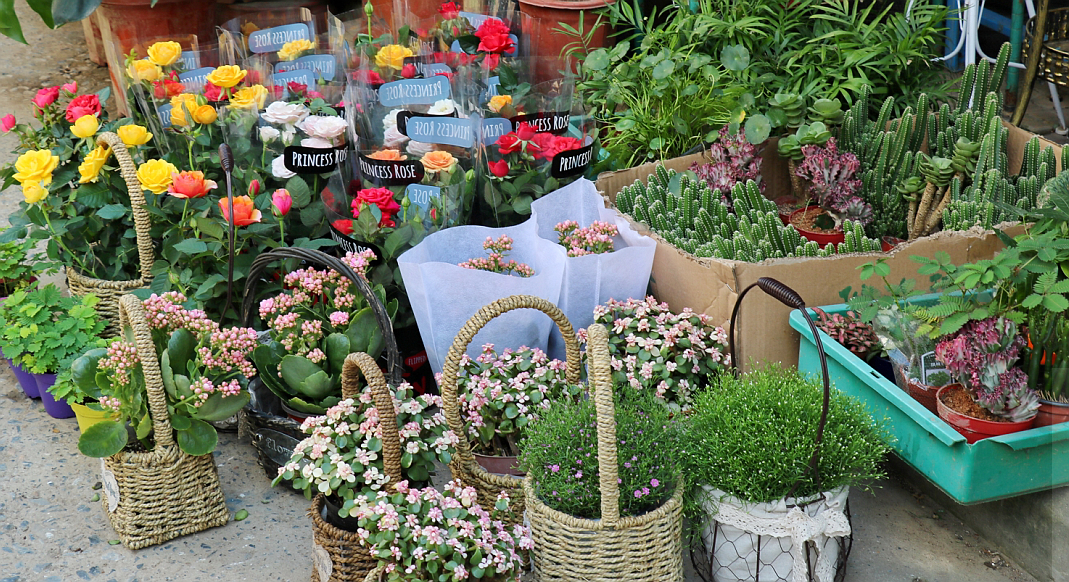 好久不见裕丰花市