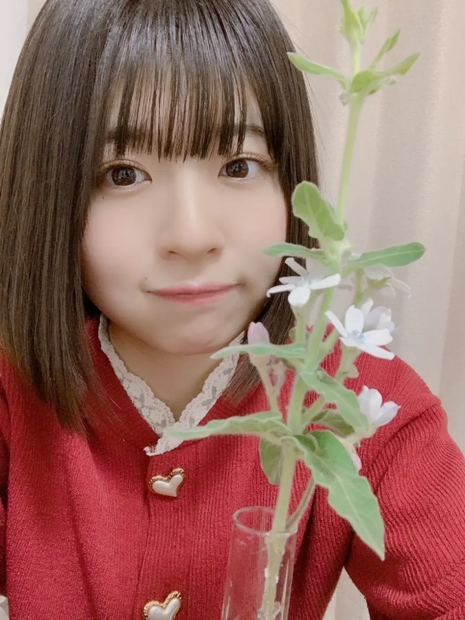 21 02 03 松田好花博客翻译 哔哩哔哩