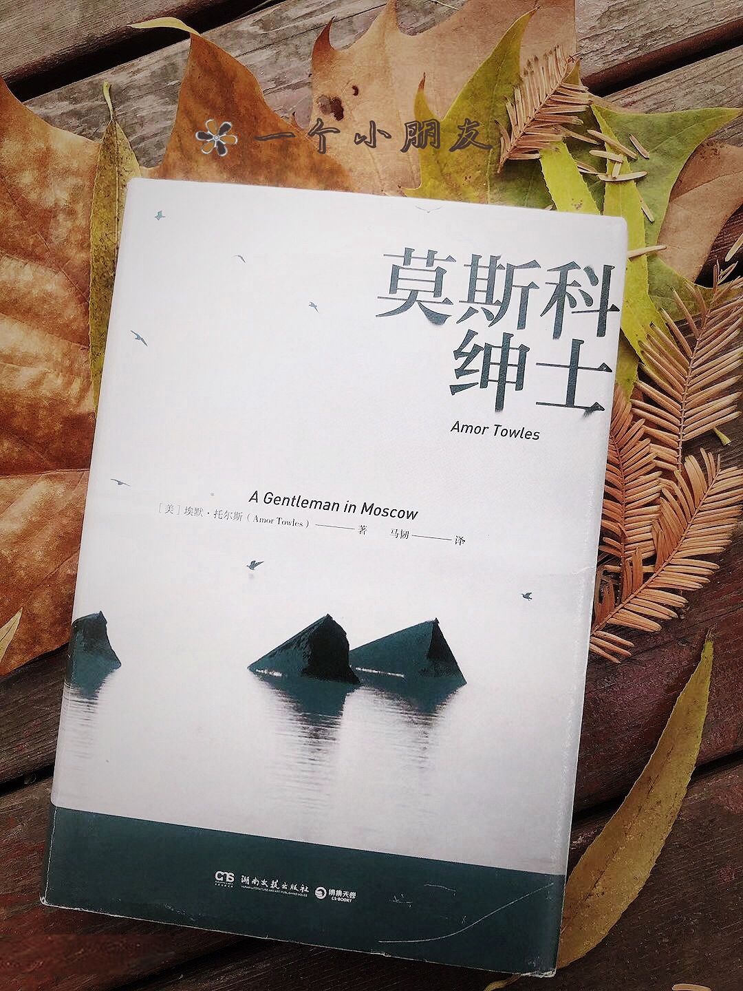 这是一本被评为全方面无死角的书 内容简介:书中的主人公罗斯托夫伯爵
