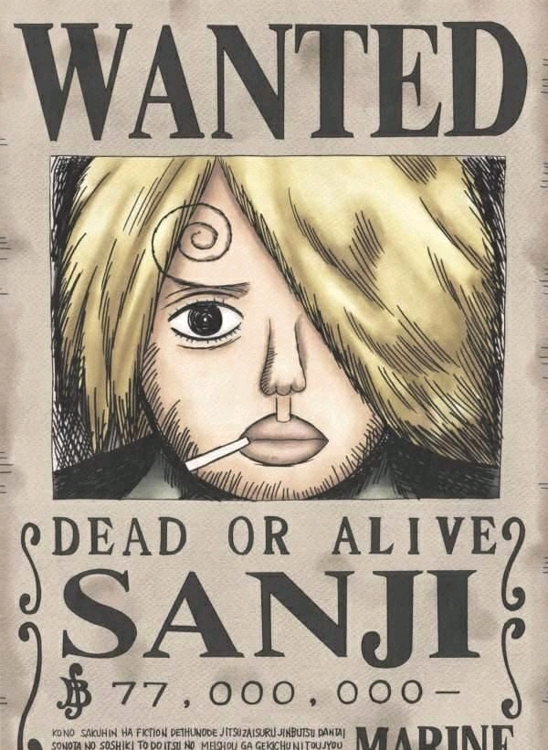 长篇动漫《海贼王》(个人爱好)