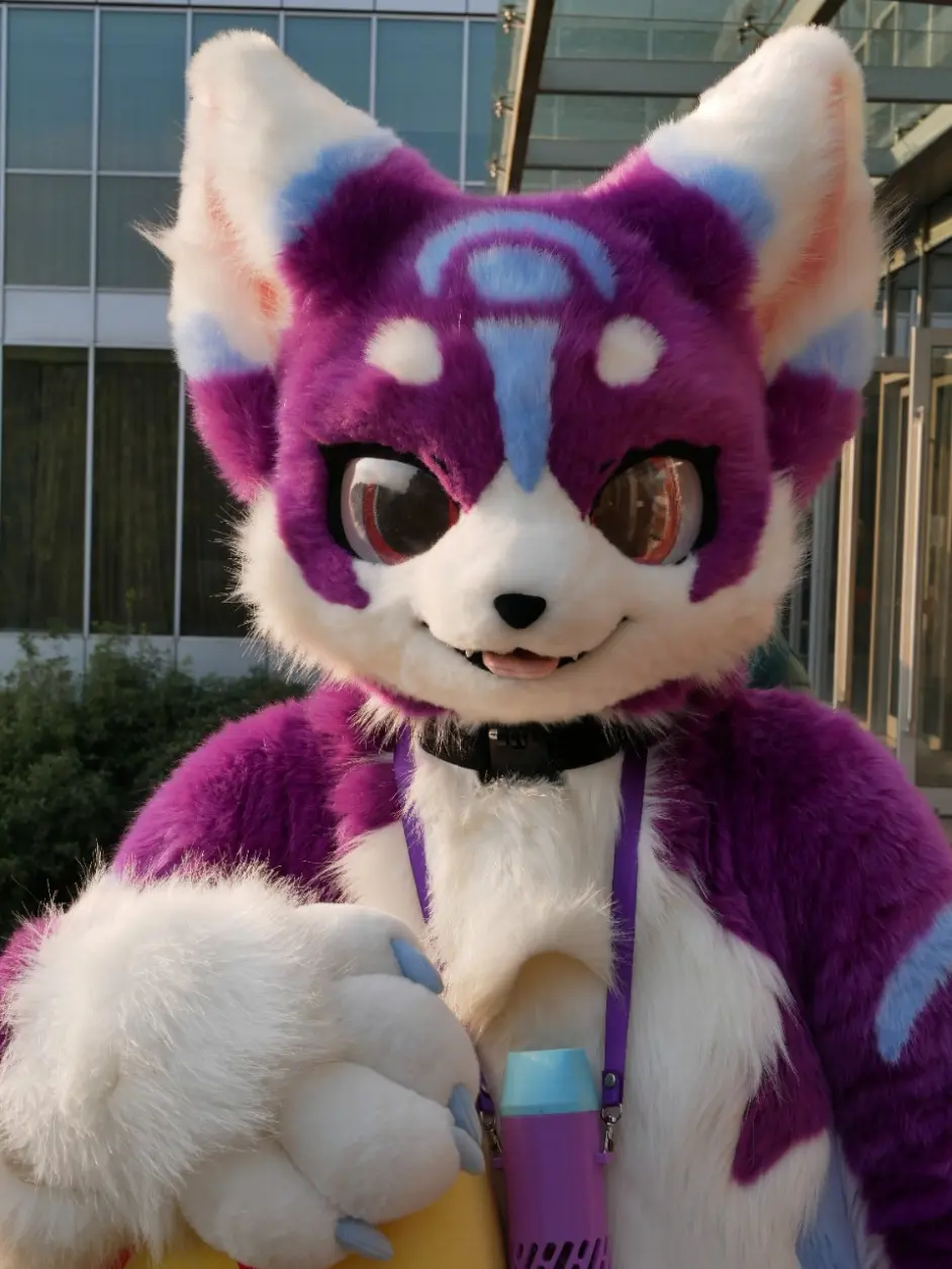 毛毛图鉴 紫薯 哔哩哔哩