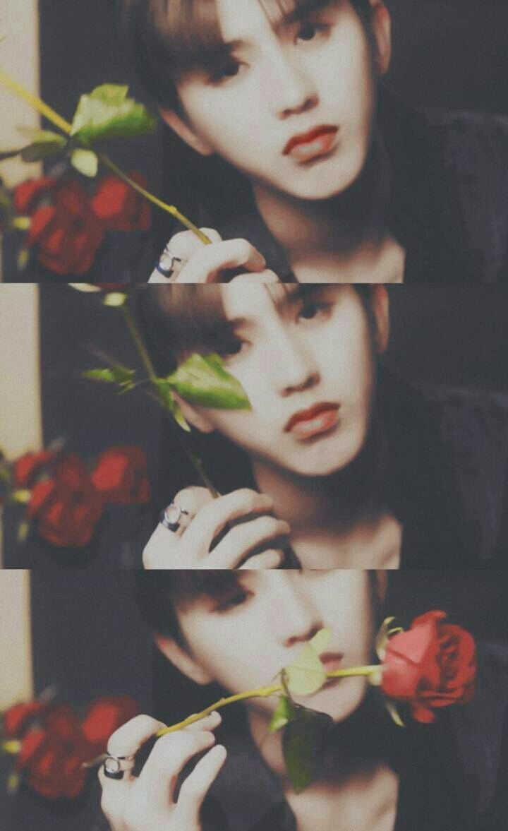 《记忆里玫瑰花香的你》蔡徐坤×你