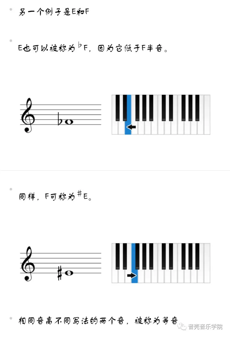 乐理基础知识 全音 半音和临时记号 哔哩哔哩